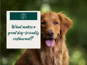 dog-friendly restaurant